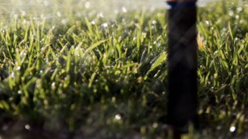 How to Choose the Best Irrigation System for Your Landscape